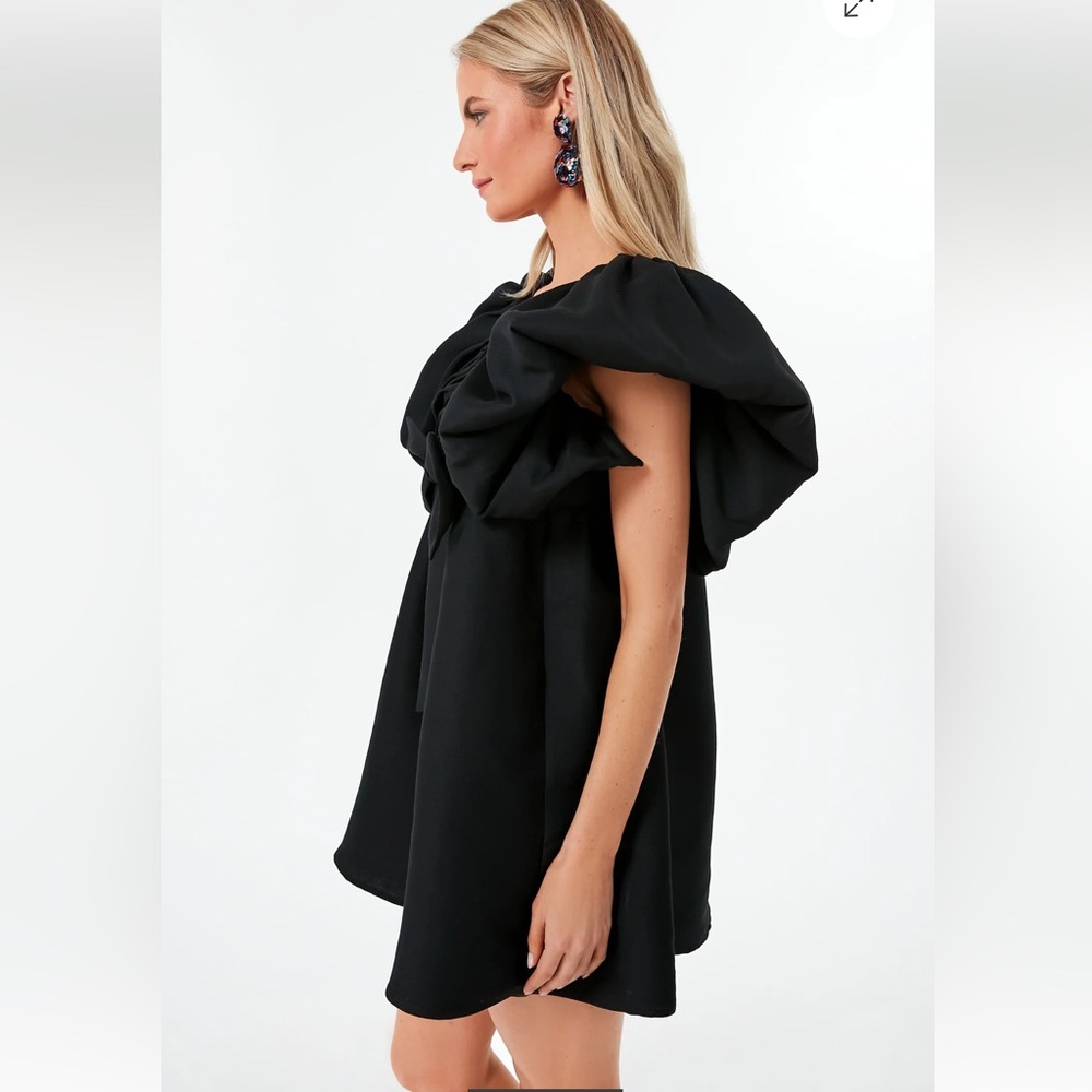 Black Brooke Mini Dress
TUCKERNUCK - Picture 2 of 8
